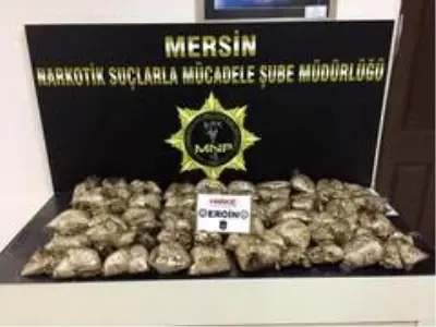 Arabaya özel bölme yaptılar ama 'Börü'den kaçamadılar Arabaya özel bölme yaptılar ama 'Börü'den kaçamadılar