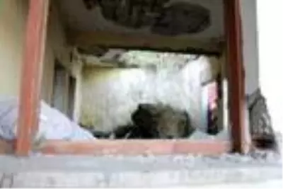 DHA YURT BÜLTENİ - 3 DHA YURT BÜLTENİ - 3