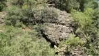 DHA YURT BÜLTENİ - 3 DHA YURT BÜLTENİ - 3