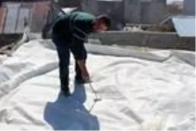 Canından bezen aile, yılanların yuva yaptığı evlerini yıkıyor Canından bezen aile, yılanların yuva yaptığı evlerini yıkıyor