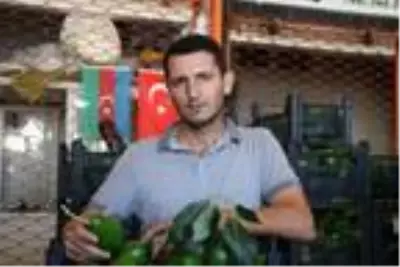 Artan avokado hırsızlığı üreticileri isyan ettirdi Artan avokado hırsızlığı üreticileri isyan ettirdi