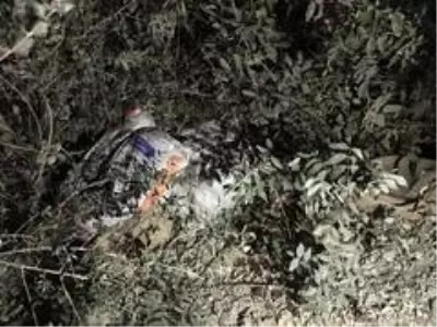 Artan avokado hırsızlığı üreticileri isyan ettirdi Artan avokado hırsızlığı üreticileri isyan ettirdi