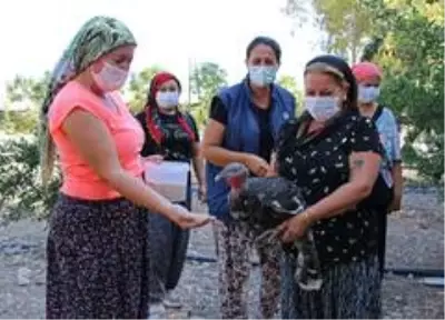 Büyükşehir'den Dünya Kadın Çiftçiler Günü kutlaması Büyükşehir'den Dünya Kadın Çiftçiler Günü kutlaması