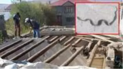 Canından bezen aile, yılanların yuva yaptığı evlerini yıkıyor Canından bezen aile, yılanların yuva yaptığı evlerini yıkıyor