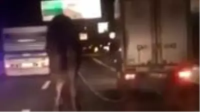 Deveyi kamyonete bağlayıp sürükleyen acımasız sürücü tepki çekti Deveyi kamyonete bağlayıp sürükleyen acımasız sürücü tepki çekti
