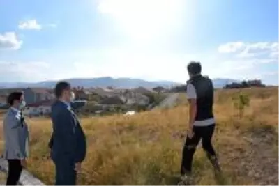 Emirdağ'da 55 bin fidan toprakla buluşacak Emirdağ'da 55 bin fidan toprakla buluşacak