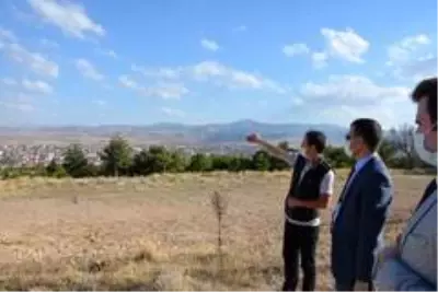 Emirdağ'da 55 bin fidan toprakla buluşacak Emirdağ'da 55 bin fidan toprakla buluşacak