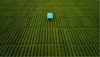 Google'ın robotları tarladaki ürünü tek tek inceleyip çiftçiye bilgi verecek
