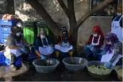 Iğdır'da kadınlar 'patlıcan reçeli' yapmaya başladı Iğdır'da kadınlar 'patlıcan reçeli' yapmaya başladı