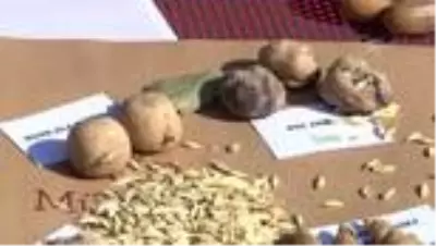 İsrafa dikkati çekmek için tarihi ekmeklerin minyatürlerini yaptılar İsrafa dikkati çekmek için tarihi ekmeklerin minyatürlerini yaptılar