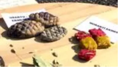 İsrafa dikkati çekmek için tarihi ekmeklerin minyatürlerini yaptılar İsrafa dikkati çekmek için tarihi ekmeklerin minyatürlerini yaptılar