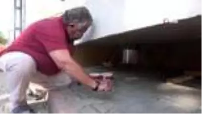 Kedisinin zehirlendiğini öğrenince gözyaşlarına boğuldu Kedisinin zehirlendiğini öğrenince gözyaşlarına boğuldu