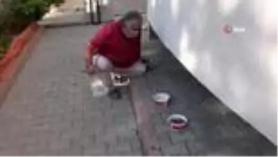 Kedisinin zehirlendiğini öğrenince gözyaşlarına boğuldu Kedisinin zehirlendiğini öğrenince gözyaşlarına boğuldu