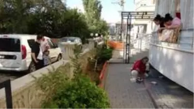Kedisinin zehirlendiğini öğrenince gözyaşlarına boğuldu Kedisinin zehirlendiğini öğrenince gözyaşlarına boğuldu