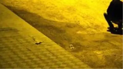 Kozan'da iş adamına silahlı saldırı Kozan'da iş adamına silahlı saldırı