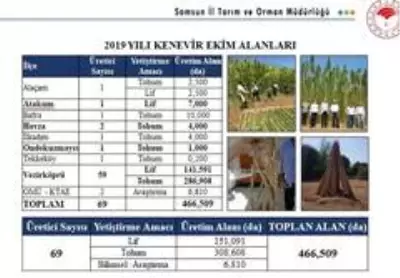 Samsun manda varlığında Türkiye'de 1'inci sırada Samsun manda varlığında Türkiye'de 1'inci sırada