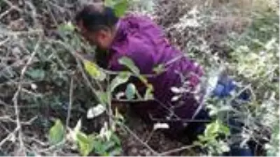 1 yıldır ormanlık alanlarda saklanan şüpheli JASAT ekiplerince yakalandı 1 yıldır ormanlık alanlarda saklanan şüpheli JASAT ekiplerince yakalandı
