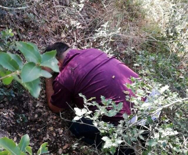 1 yıldır ormanlık alanlarda saklanan şüpheli JASAT ekiplerince yakalandı 1 yıldır ormanlık alanlarda saklanan şüpheli JASAT ekiplerince yakalandı