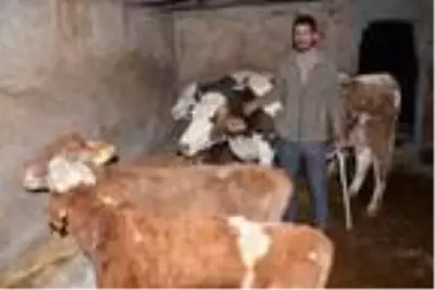 Besici baba ve oğlunun '128 bin 750 TL dolandırıldık' iddiası Besici baba ve oğlunun '128 bin 750 TL dolandırıldık' iddiası