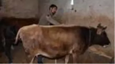 Besici baba ve oğlunun '128 bin 750 TL dolandırıldık' iddiası Besici baba ve oğlunun '128 bin 750 TL dolandırıldık' iddiası