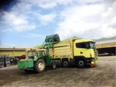 Eğirdir'de ıskarta elmanın kilosu 65 kuruştan alınıyor Eğirdir'de ıskarta elmanın kilosu 65 kuruştan alınıyor