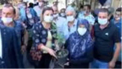 İzmit'te yarışma için gül fidanı dağıtıldı İzmit'te yarışma için gül fidanı dağıtıldı