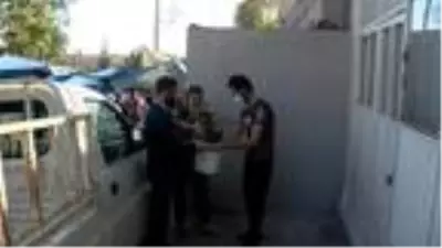 İzmit'te yarışma için gül fidanı dağıtıldı İzmit'te yarışma için gül fidanı dağıtıldı