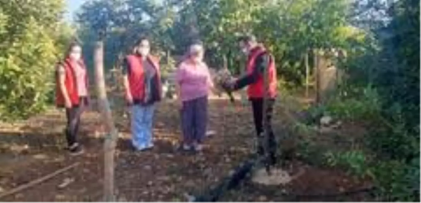 Kadın çitçiler: ' Devlet teşviklerinden yararlanıp tarımı hep birlikte yaşatalım'