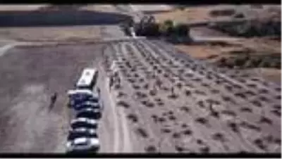 Kahramankazan'dan Hatay'da yanan ormanlık alanın ağaçlandırılması için kampanya Kahramankazan'dan Hatay'da yanan ormanlık alanın ağaçlandırılması için kampanya