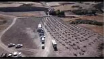 Kahramankazan'dan Hatay'da yanan ormanlık alanın ağaçlandırılması için kampanya Kahramankazan'dan Hatay'da yanan ormanlık alanın ağaçlandırılması için kampanya