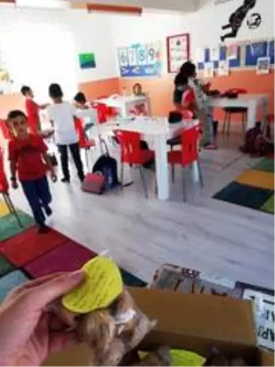 'Kardeşim de tatsın' dediler, Çorum'a incir ve ceviz gönderdiler 'Kardeşim de tatsın' dediler, Çorum'a incir ve ceviz gönderdiler