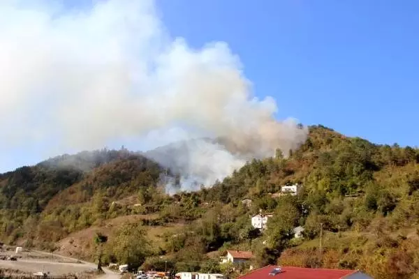 Kastamonu'da orman yangını yaklaşık 6 saatte kontrol altına alındı