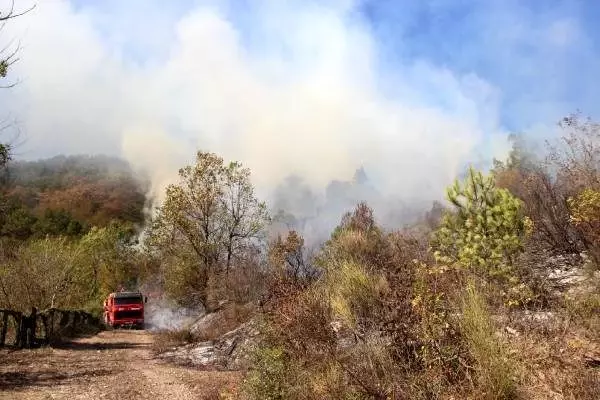 Kastamonu'da orman yangını yaklaşık 6 saatte kontrol altına alındı