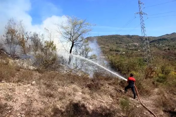 Kastamonu'da orman yangını yaklaşık 6 saatte kontrol altına alındı