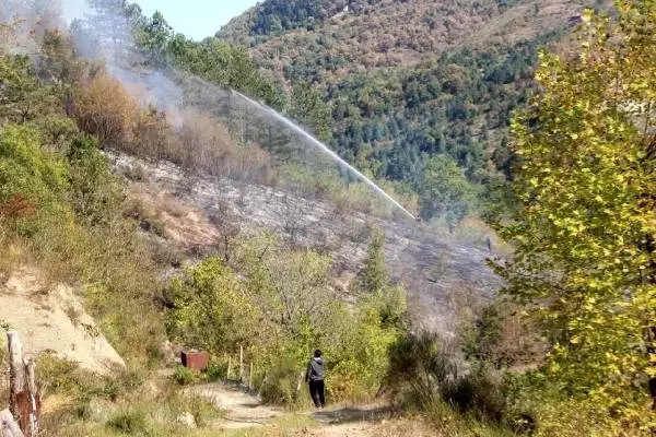 Kastamonu'da orman yangını yaklaşık 6 saatte kontrol altına alındı