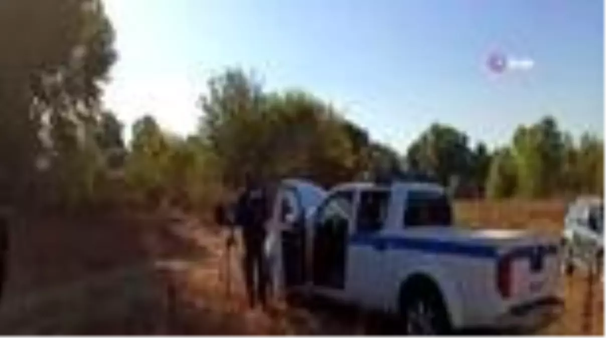 Komşudan insanlık dışı hareket