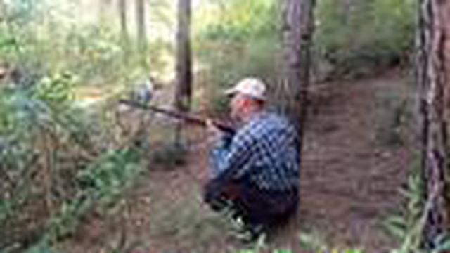 Köylüler, ormanları için ellerinde silahlarla gece gündüz nöbet tutuyor