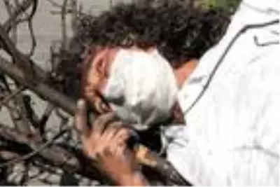 Son dakika... Profesör, orman yangınlarına dikkat çekmek zarar gören ağaçları sırtında taşıdı Son dakika... Profesör, orman yangınlarına dikkat çekmek zarar gören ağaçları sırtında taşıdı