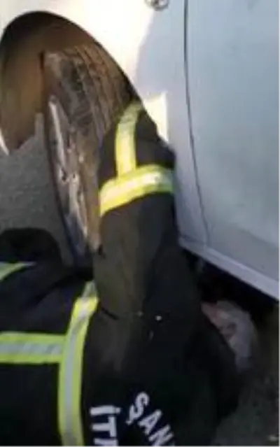 Son dakika haberi: Şanlıurfa'da su borusuna ve otomobille sıkışan yavru kediler kurtarıldı Son dakika haberi: Şanlıurfa'da su borusuna ve otomobille sıkışan yavru kediler kurtarıldı