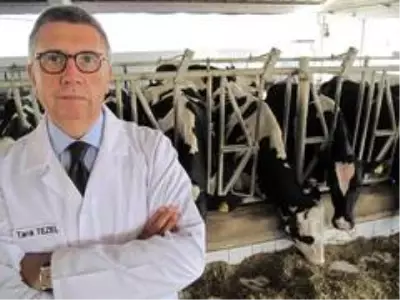 SETBİR'den Dünya Gıda Günü açıklaması SETBİR'den Dünya Gıda Günü açıklaması