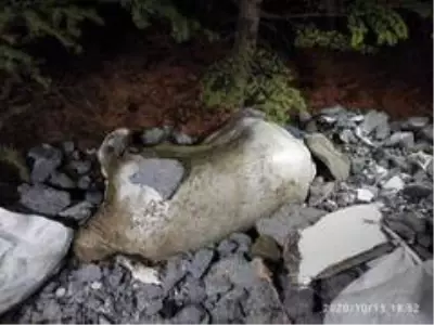 Şiddet uyguladığı eşini bulmak için cinayet işlemiş Şiddet uyguladığı eşini bulmak için cinayet işlemiş
