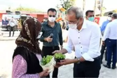 Atalardan miras kalan yerli tohumlar köylülere dağıtılıyor Atalardan miras kalan yerli tohumlar köylülere dağıtılıyor