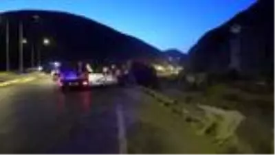 Tır viyadükten düştü: 1 yaralı Tır viyadükten düştü: 1 yaralı