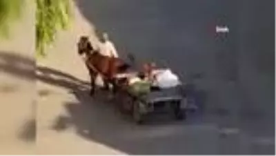Yorgun düşen ata gitmesi için şişle şiddet uyguladı Yorgun düşen ata gitmesi için şişle şiddet uyguladı