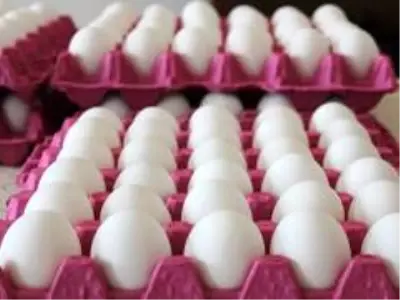 Yumurta fiyatlarındaki önlenemez yükseliş devam ediyor Yumurta fiyatlarındaki önlenemez yükseliş devam ediyor
