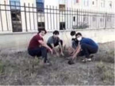Adilcevaz TÜRŞAD Voleybol Takımı'ndan Hatay'a 99 ceviz fidanıyla destek Adilcevaz TÜRŞAD Voleybol Takımı'ndan Hatay'a 99 ceviz fidanıyla destek