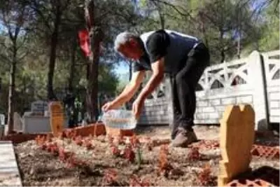Bisikletle 500 kilometre yol gelerek Türkiye'nin kültür hazinesini mezarı başında ziyaret etti Bisikletle 500 kilometre yol gelerek Türkiye'nin kültür hazinesini mezarı başında ziyaret etti