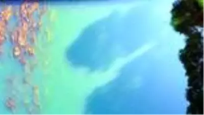 Çukurova'nın 'can suyu' Ceyhan Nehri kartpostallık manzaralar sunuyor Çukurova'nın 'can suyu' Ceyhan Nehri kartpostallık manzaralar sunuyor