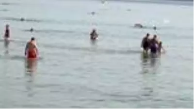 Didim'de sıcak havayı fırsat bilenler denizin keyfini çıkardı Didim'de sıcak havayı fırsat bilenler denizin keyfini çıkardı