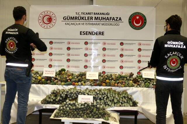 Esendere Gümrük Kapısı'nda halüsinasyona neden olan bitki ele geçirildi